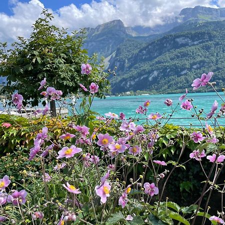 Chalet Romantica Carpe Diem Best View Best Location Brienz  Extérieur photo
